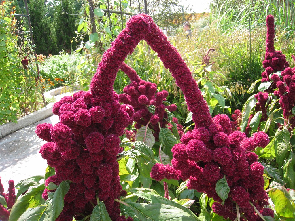 Michigans West Coast 2009 1685.jpg - Labor Day 2009. A trip along Michigans west coast to see beachs, art and buffets.